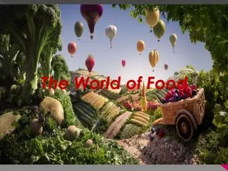 Foods in the world ,