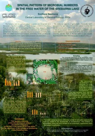 SPATIAL PATTERN OF MICROBIAL NUMBERS IN THE FREE WATER OF THE SREBARNA LAKE