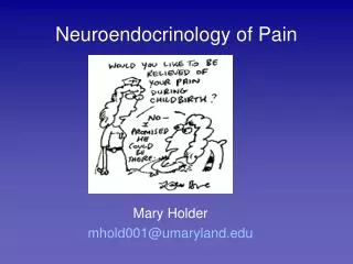 Neuroendocrinology of Pain