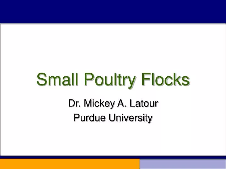 small poultry flocks