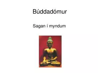 b ddad mur