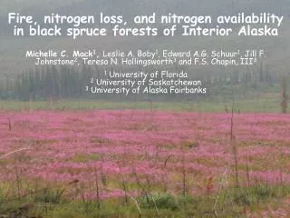 Fire, nitrogen loss, and nitrogen availability in black spruce forests of Interior Alaska