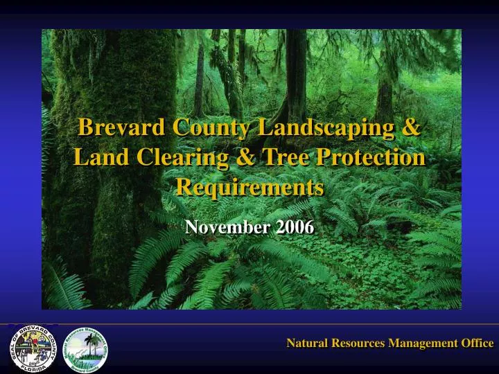 brevard county landscaping land clearing tree protection requirements
