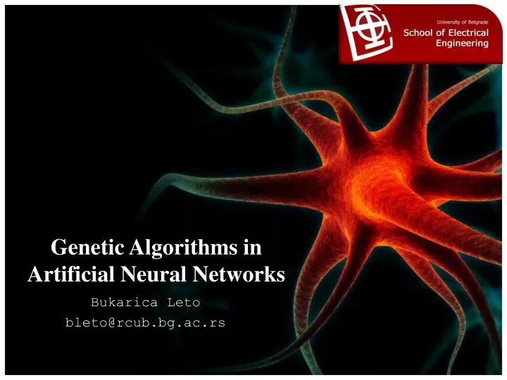 genetic algorithms in artificial neural networks