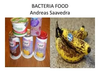 BACTERIA FOOD Andreas Saavedra