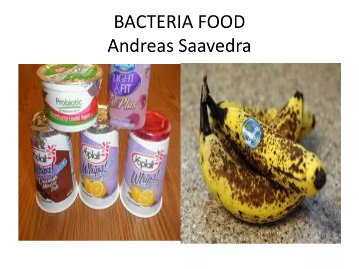 bacteria food andreas saavedra