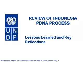 REVIEW OF INDONESIA PDNA PROCESS
