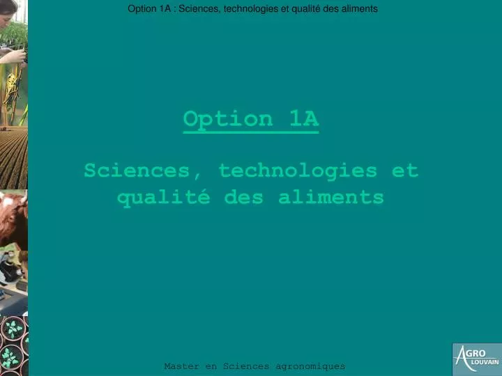 option 1a sciences technologies et qualit des aliments