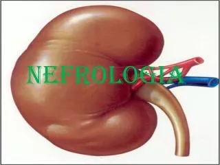 nefrologia