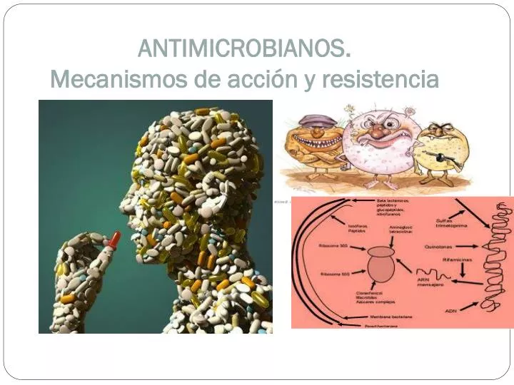 antimicrobianos mecanismos de acci n y resistencia