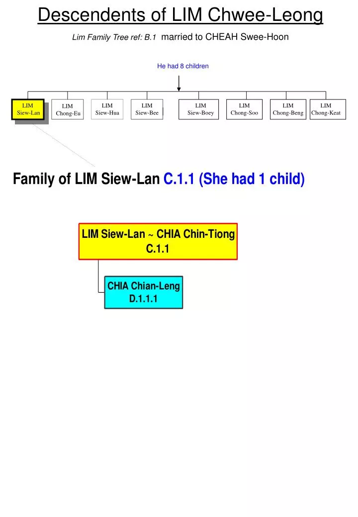 descendents of lim chwee leong lim family tree ref b 1 married to cheah swee hoon he had 8 children