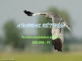 a hamvas r tih ja