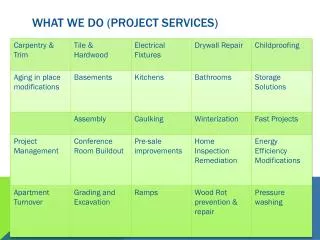 what we do project services