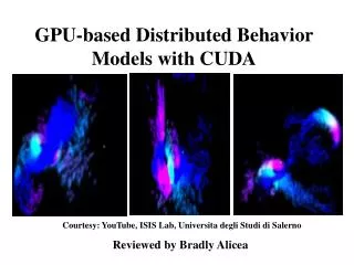 GPU-based Distributed Behavior Models with CUDA