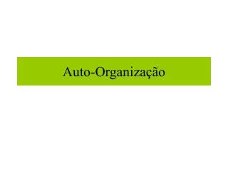 auto organiza o