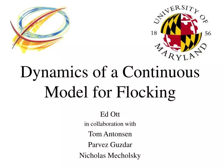 dynamics of a continuous model for flocking