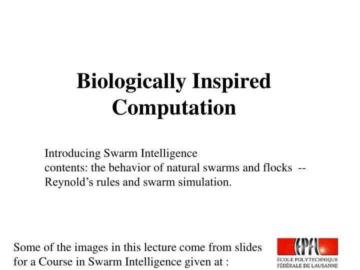 biologically inspired computation