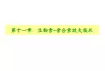 第 十一 章 生物素 - 亲合素放大技术 - slide 1