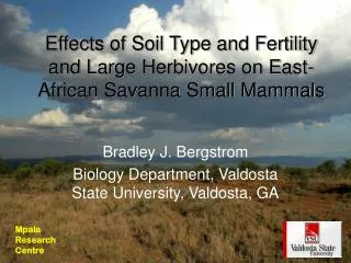 Effects of Soil Type and Fertility and Large Herbivores on East-African Savanna Small Mammals