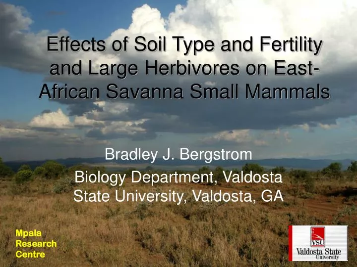 effects of soil type and fertility and large herbivores on east african savanna small mammals