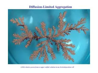 Diffusion- L imited A ggregation