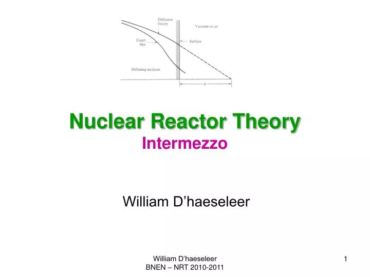 nuclear reactor theory intermezzo