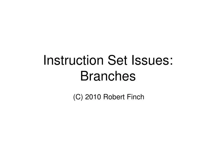 instruction set issues branches