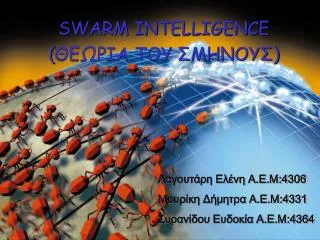 swarm intelligence