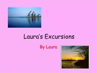 by laura
