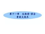 第 十一 章 生物素 - 亲合素放大技术 - slide 1