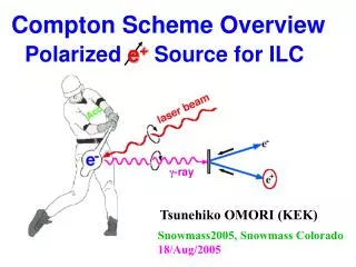 Compton Scheme Overview Polarized e + Source for ILC