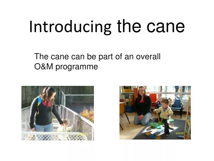 introducing the cane
