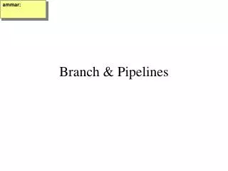 Branch &amp; Pipelines