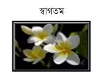 স্বাগতম - slide 1