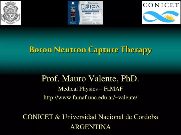boron neutron capture therapy
