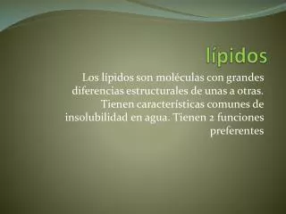 l pidos