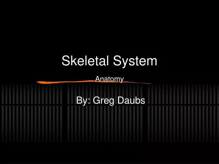 skeletal system anatomy