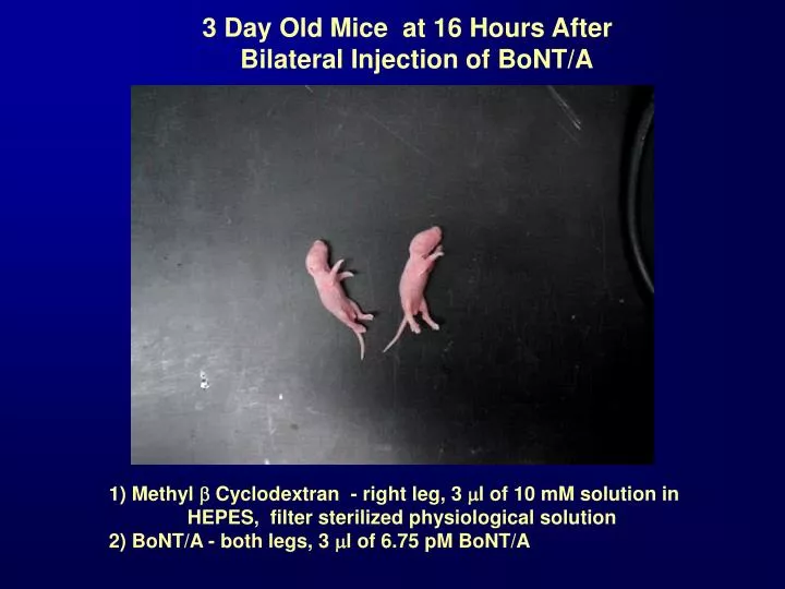 3 day old mice at 16 hours after bilateral injection of bont a