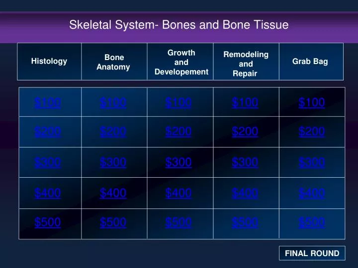 skeletal system bones and bone tissue