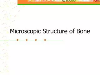 Microscopic Structure of Bone