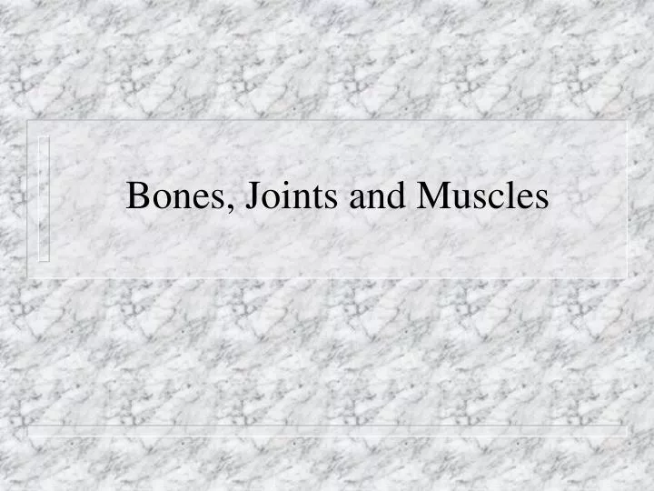 bones joints and muscles