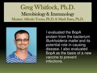 Greg Whitlock, Ph.D. Microbiology &amp; Immunology Mentor: Alfredo Torres, Ph.D. &amp; Mark Estes, Ph.D.