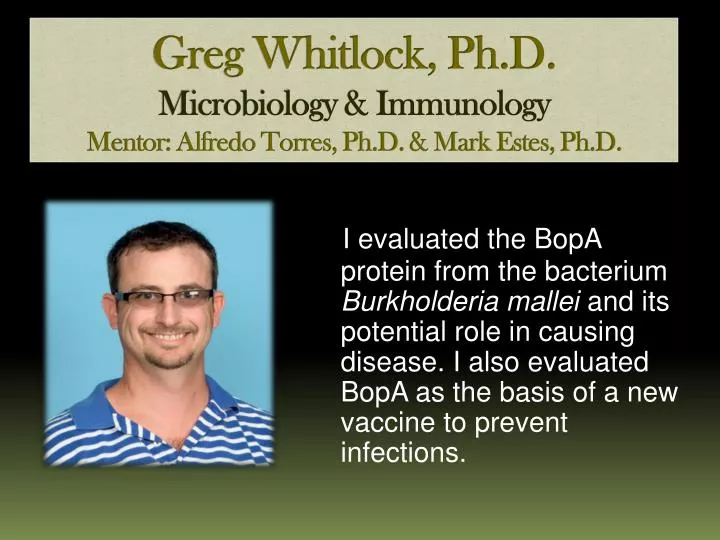 greg whitlock ph d microbiology immunology mentor alfredo torres ph d mark estes ph d