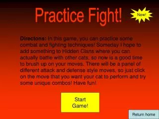 Practice Fight!