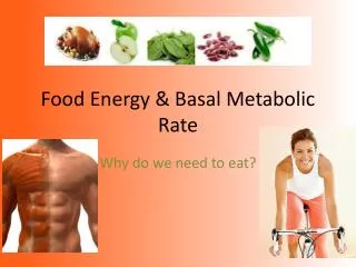Food Energy &amp; Basal Metabolic Rate