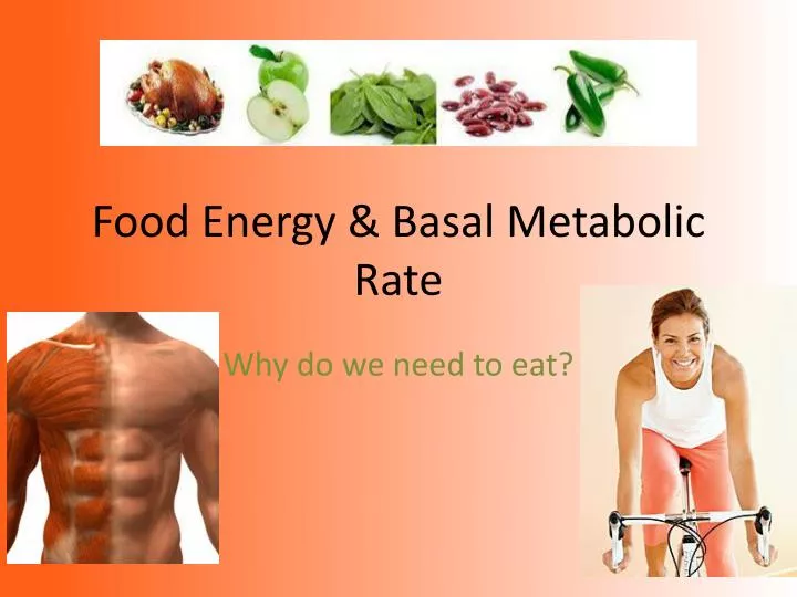 food energy basal metabolic rate