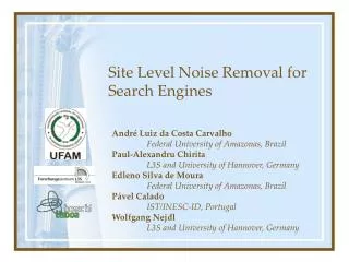 Site Level Noise Removal for Search Engines
