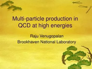 Multi-particle production in QCD at high energies