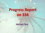 Progress Report on 334 - slide 1