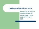 Undergraduate Concerns - slide 1
